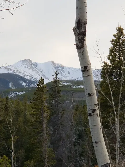 Tom Bennett Campground 4