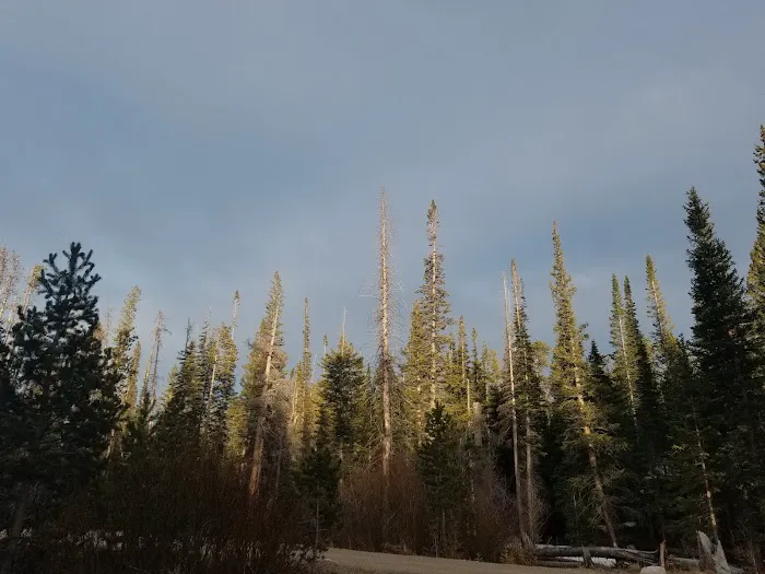 Tom Bennett Campground 3