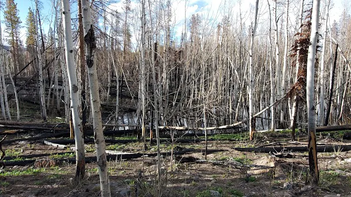 Tom Bennett Campground 5