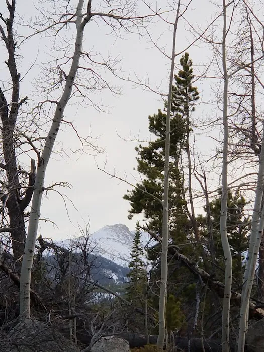 Tom Bennett Campground 6