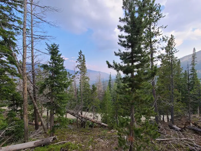 Valley View 5
