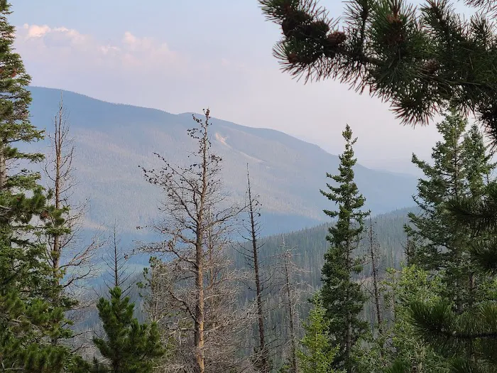 Valley View 6