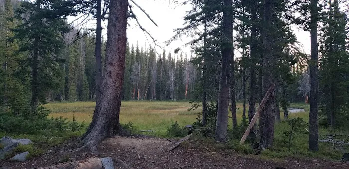 Valley View 7