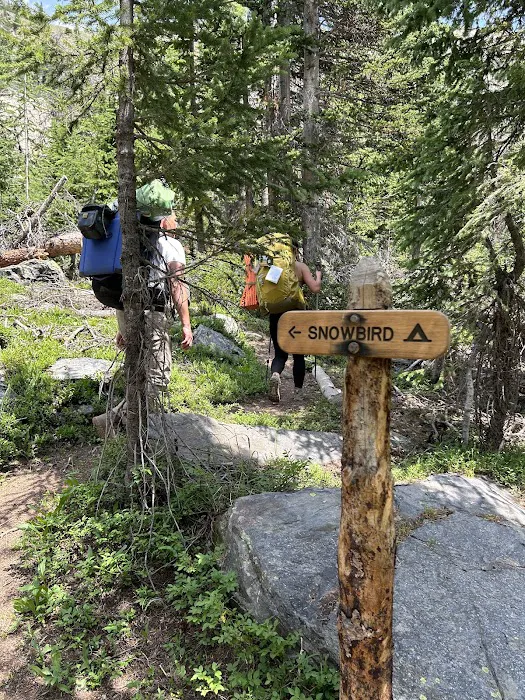 Snowbird 6