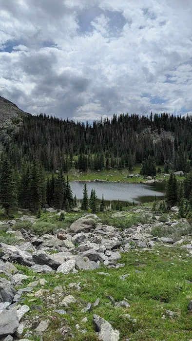Snowbird 0