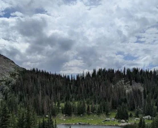 Snowbird