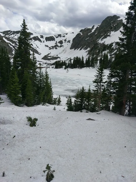 Snowbird 3