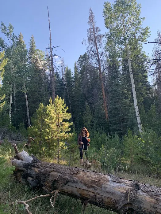 Browns Park Campground 7