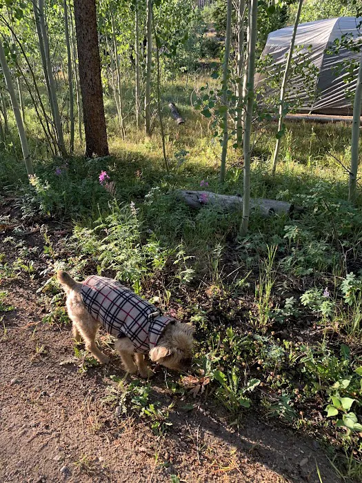 Browns Park Campground 9