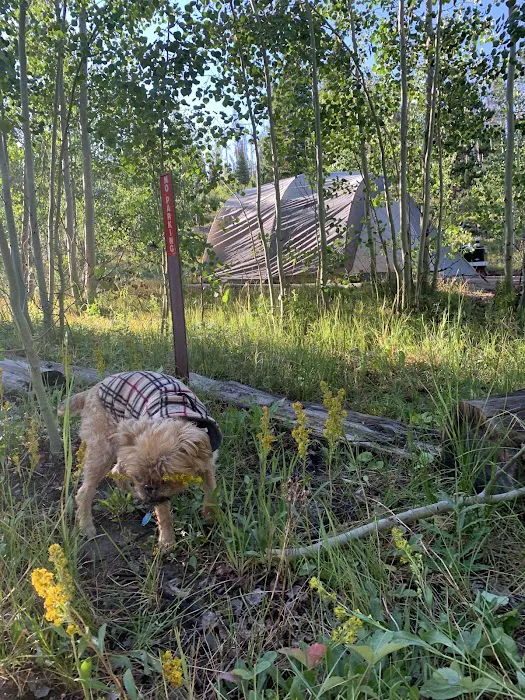 Browns Park Campground 5