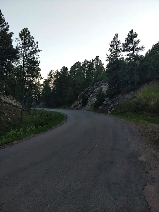 US Forest Service 1