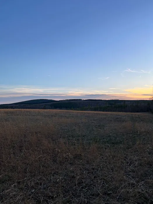 Camp McFender 1