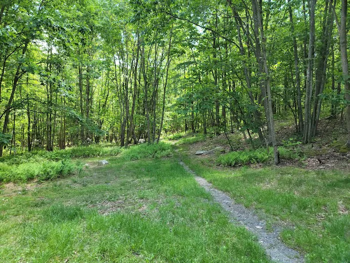 Primitive Campsite #7 3