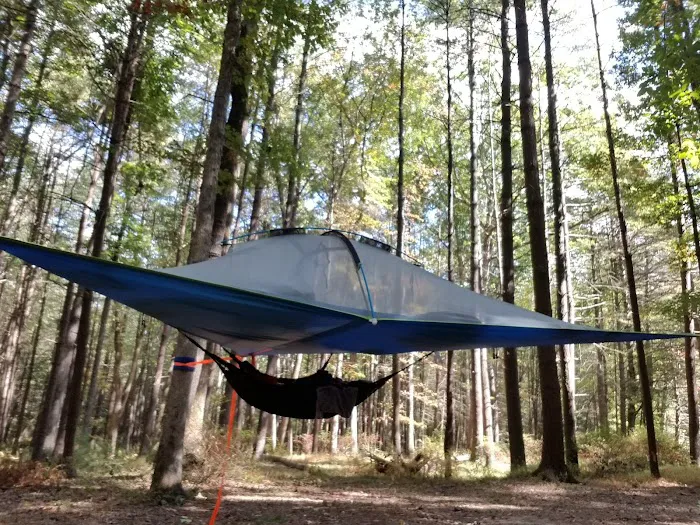 Primitive Campsite #5 0