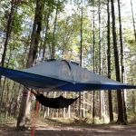 Primitive Campsite #5