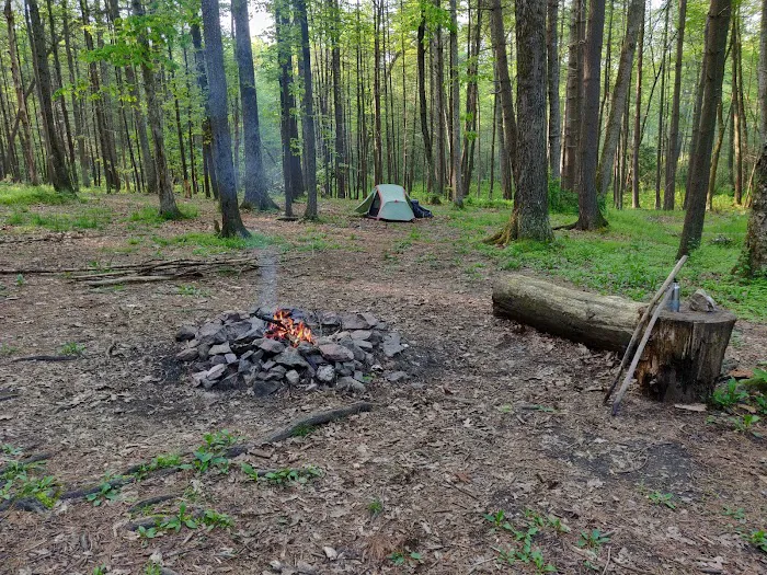 Primitive Campsite #5 7