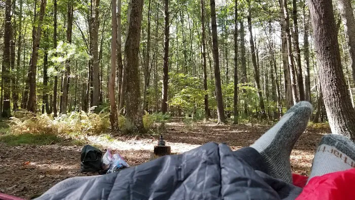 Primitive Campsite #5 5