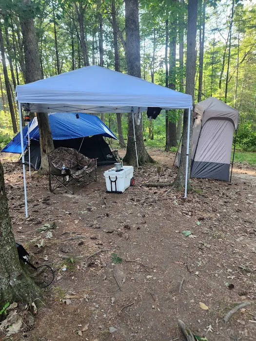 Primitive Campsite #5 1