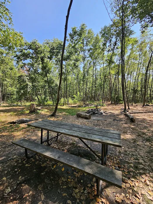 Primitive Campsite #4 0