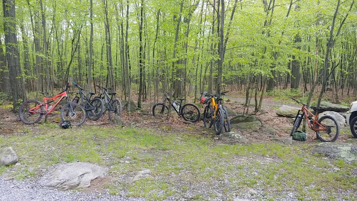 Primitive Campsite #4 8
