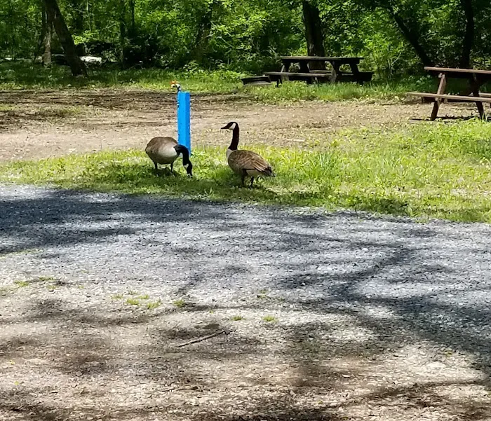 Gettysburg Campground 8