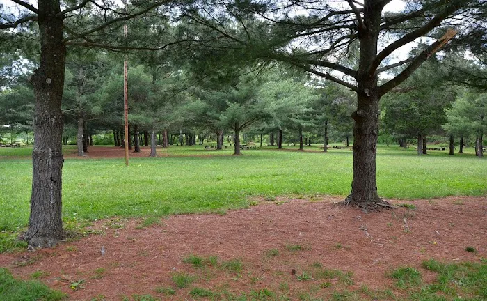 McMillan Woods Youth Campground 5