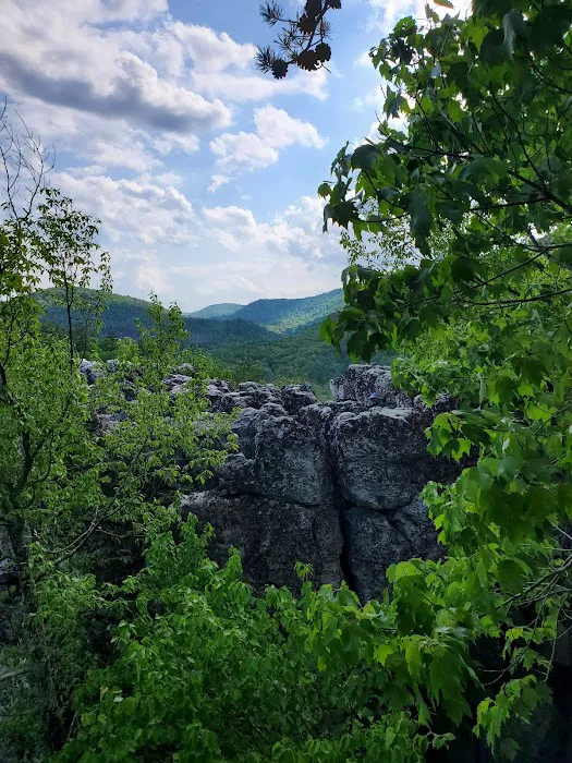 Camp Hemlock 1