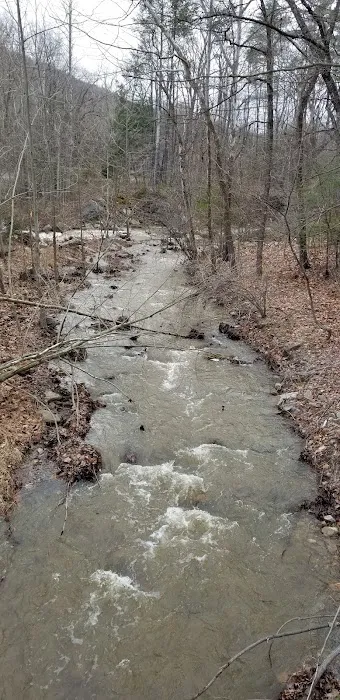 Camp Hemlock 7