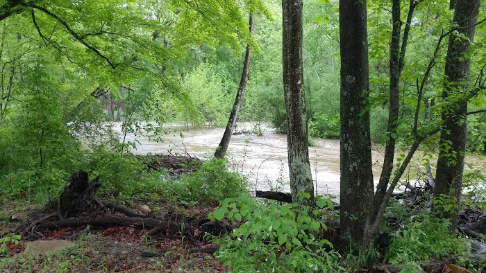 Camp Hemlock 5