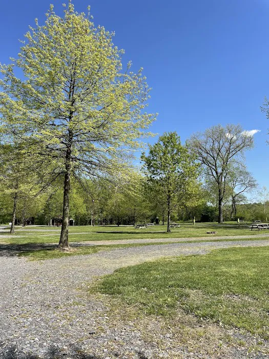 Brunswick Family Campground 6