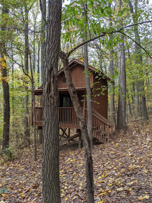 The Treehouse Camp At Maple Tree LLC 4