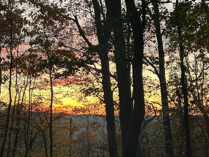 The Treehouse Camp At Maple Tree LLC 9