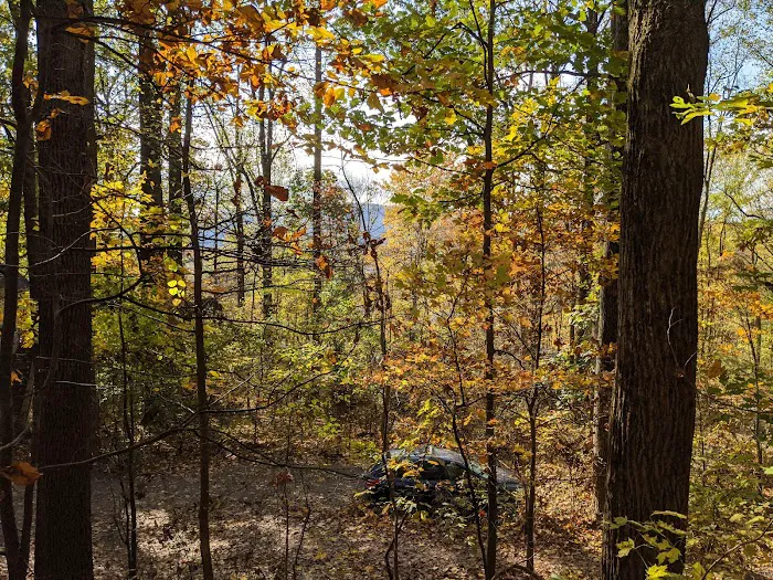 The Treehouse Camp At Maple Tree LLC 3