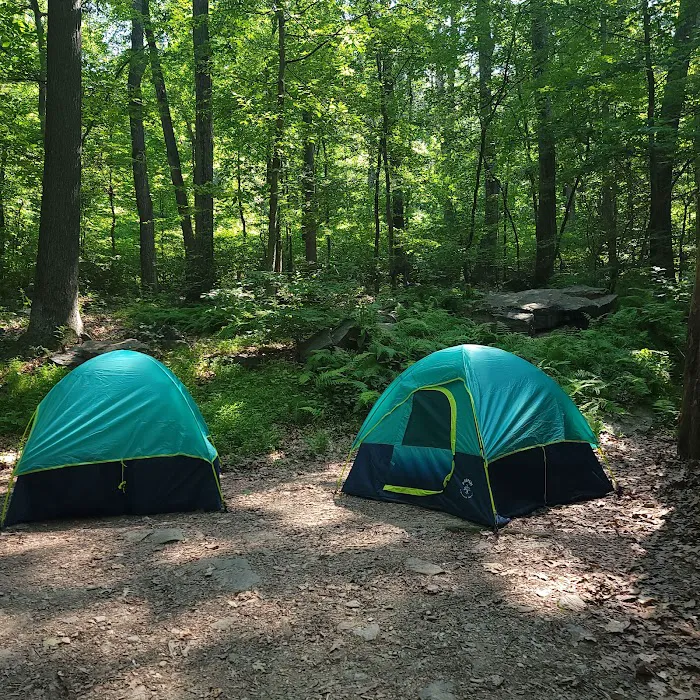 The Treehouse Camp At Maple Tree LLC 8