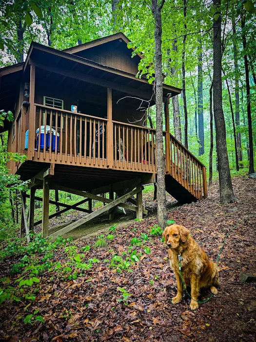 The Treehouse Camp At Maple Tree LLC 7