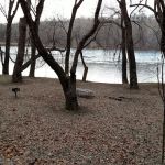 Bald Eagle Hiker Camper Campsite