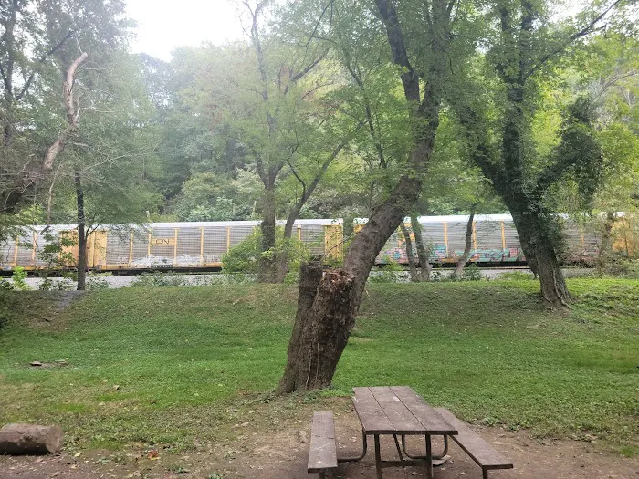 Bald Eagle Hiker Camper Campsite 3