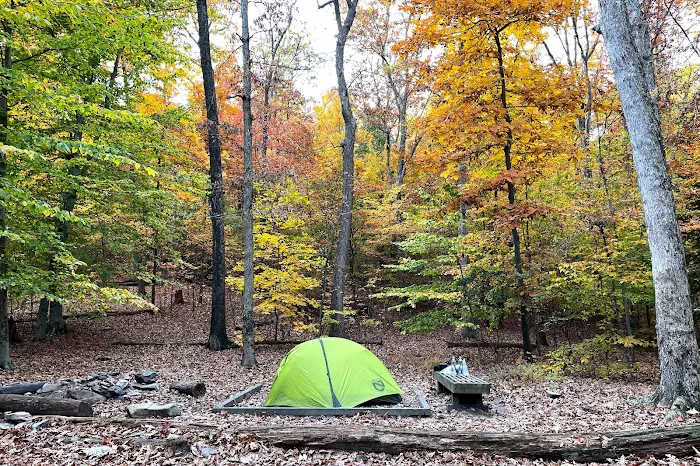 Crampton Gap Campsite 8