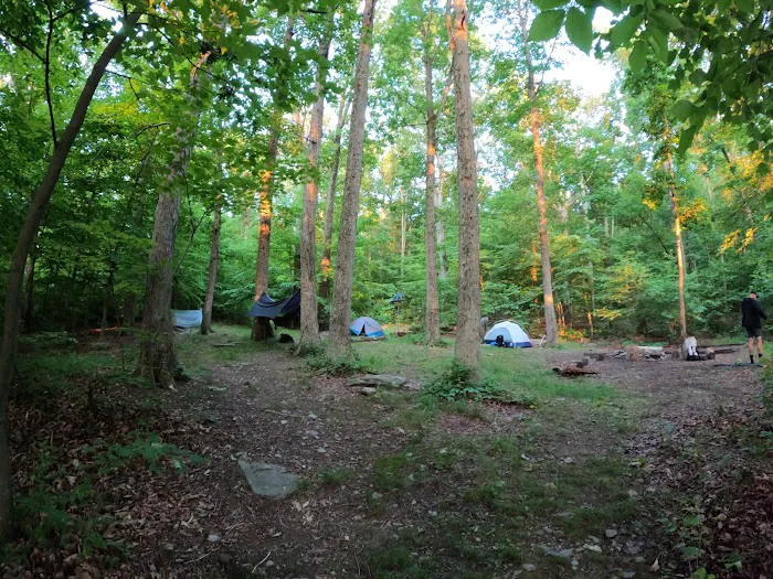 Crampton Gap Campsite 4