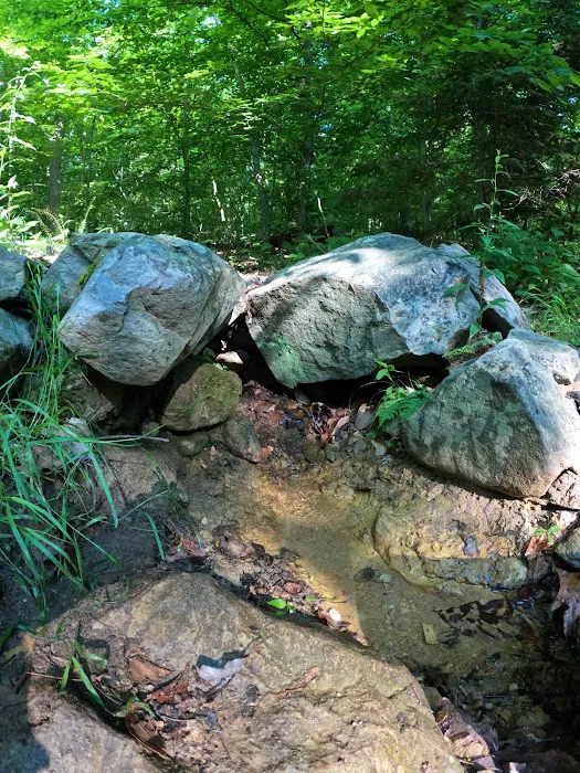Crampton Gap Campsite 6