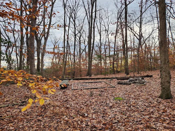 Crampton Gap Campsite 1