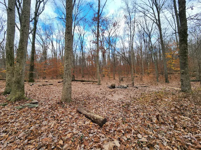 Crampton Gap Campsite 3