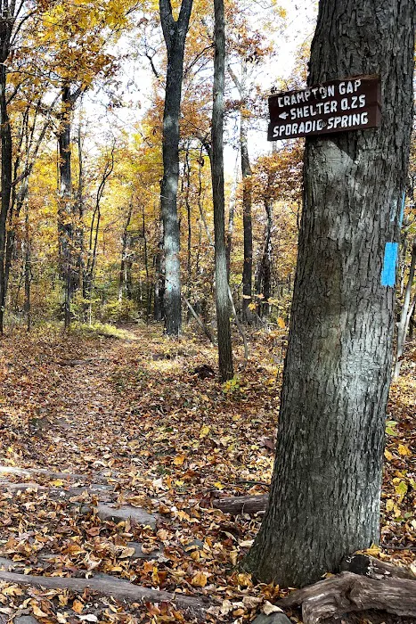 Crampton Gap Campsite 7