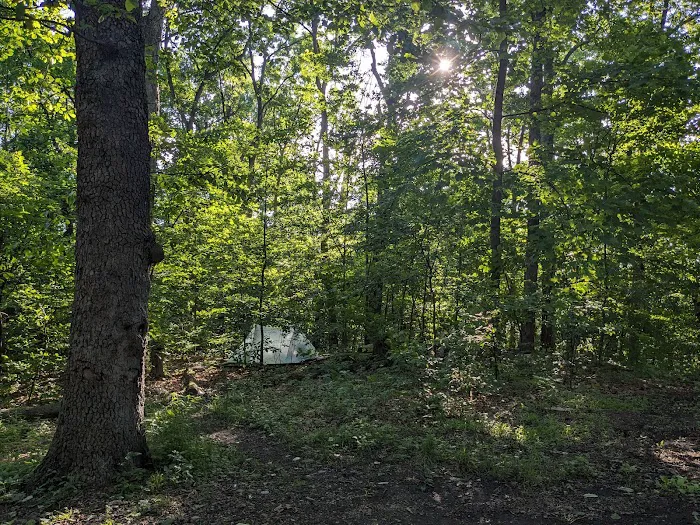 Crampton Gap Campsite 5