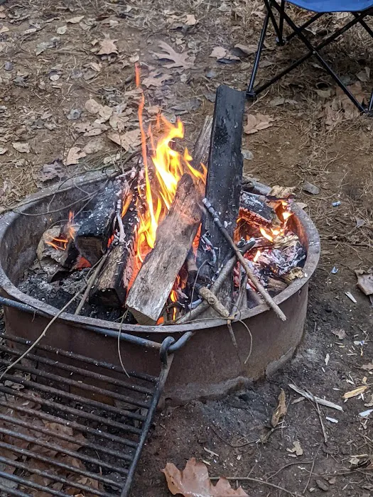Rohrbach Group Campground 2