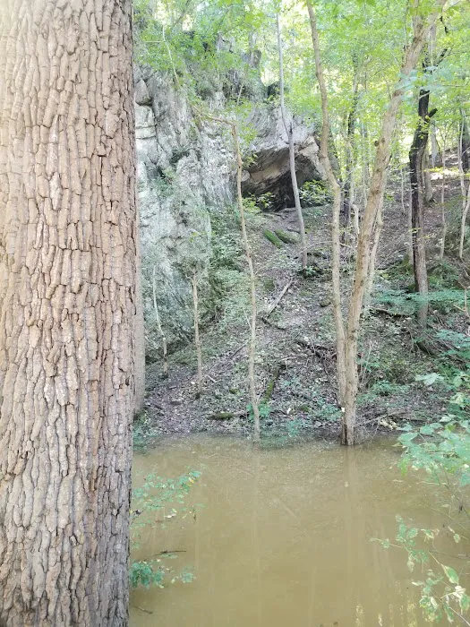 Killiansburg Cave Campsite 8