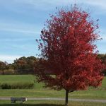 Nahkeeta Campsite LLC