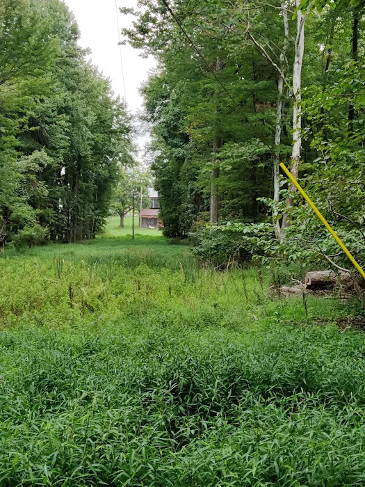 Dahlgren Backpacker Campground 2