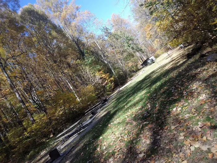 Dahlgren Backpacker Campground 6