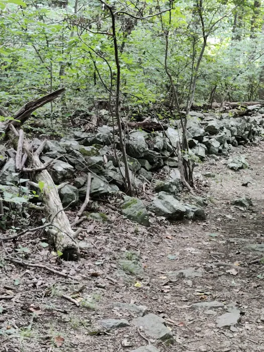 Dahlgren Backpacker Campground 8